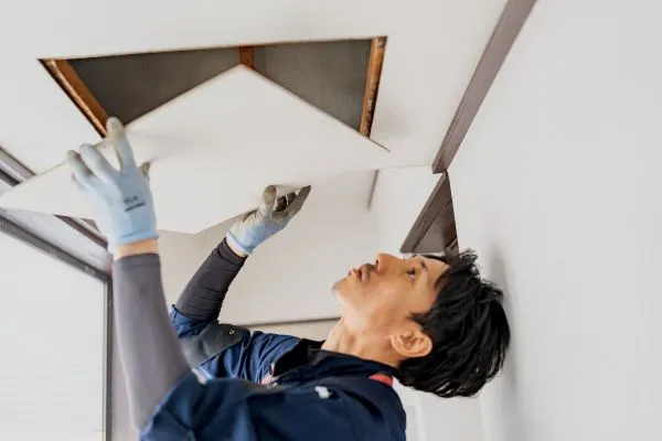 害獣の駆除＆再侵入予防