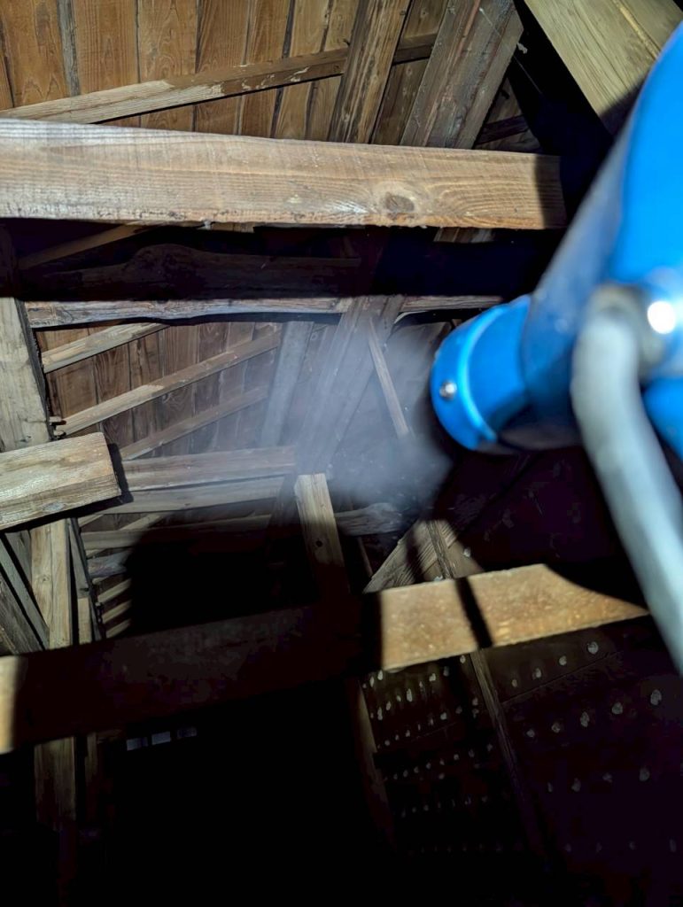 ハクビシン駆除 施工実績 東京都武蔵村山市