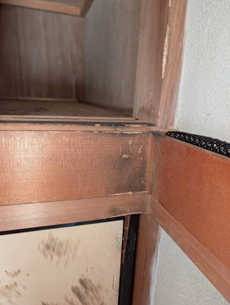 ネズミ駆除 施工実績 埼玉県川口市